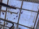 IMG_7192.jpeg