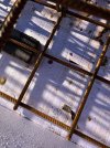 IMG_7191.jpeg