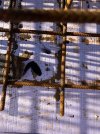 IMG_7190.jpeg