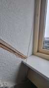 20250204_110516.jpg