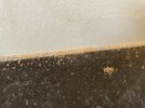 IMG_4634.jpeg