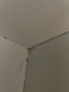 IMG_4574.jpeg