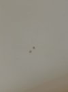 IMG_4600.jpeg