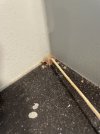 IMG_4635.jpeg
