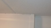 img_1739380215106.jpg