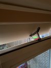 IMG_1813.jpeg