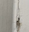 IMG_0447.jpeg