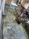IMG_9138.jpeg