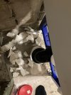 IMG_4069.jpeg