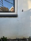 IMG_9510.jpeg