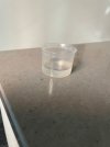 IMG_4316.jpeg