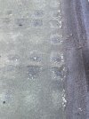 IMG_4640.jpeg
