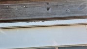 20250405_123552.jpg