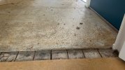 IMG_2147.jpeg