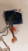 20250408_070651.jpg
