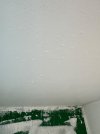 IMG_2827.jpeg
