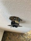 IMG_4663.jpeg
