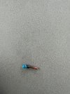 IMG_5001.jpeg
