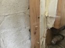 IMG_0375.jpeg