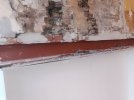 IMG_20250417_184342.jpg