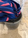 IMG_6750.jpeg