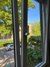 IMG_5092.jpeg