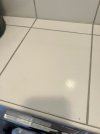 IMG_3185.jpeg IMG_3185.jpeg