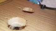 VideoCapture_20250512-134054.jpg