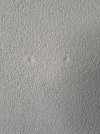 20250511_121701.jpg