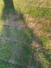 IMG_9817.jpeg IMG_9817.jpeg