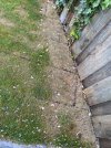 IMG_9816.jpeg IMG_9816.jpeg