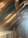 IMG_4329.jpeg