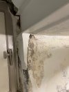 IMG_2163.jpeg
