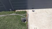 PXL_20250603_091443346.jpg
