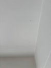 IMG_4652.jpeg IMG_4652.jpeg