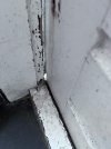 IMG_8349.jpeg
