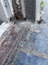 IMG_8350.jpeg