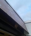 IMG_5434.jpeg