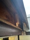 IMG_5437.jpeg