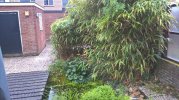 WP_20250607_09_57_09_Pro.jpg