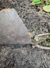 IMG_6964.jpeg