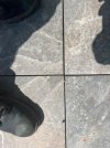 IMG_3895.jpeg