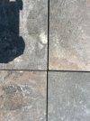 IMG_3892.jpeg IMG_3892.jpeg