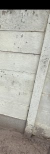 IMG_6883.jpeg