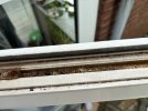 IMG_4361.jpeg