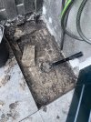 IMG_8704.jpeg