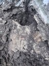 IMG_8708.jpeg