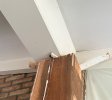IMG_7382.jpeg