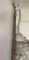 IMG_7381.jpeg