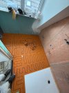 IMG_2554.jpeg
